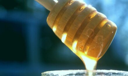 Prophetic Guidance: The Cure in Drinking Honey