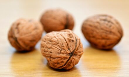 Why are Kashmiri Walnuts the best?